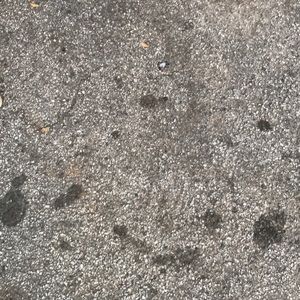 Meet your Posher, Demetrius